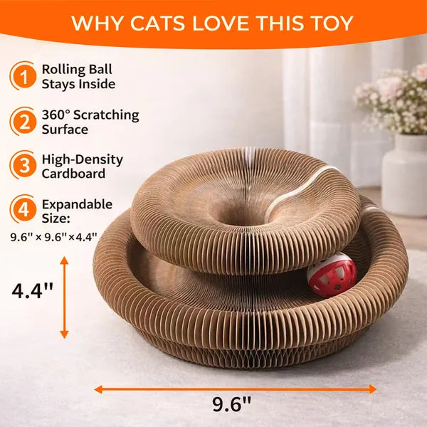 2PCS Kitty Curls Cat Toy - Accordéon pliable Cat Scratcher WithBall - Magic Organ Cat Scr