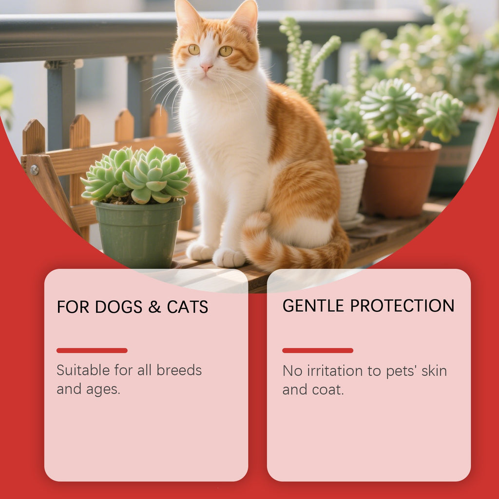 Eeljoy Spray de soins pour animaux de compagnie est adapté pour les chats et les chiens à nettoyer et à soigner leurs cheveux