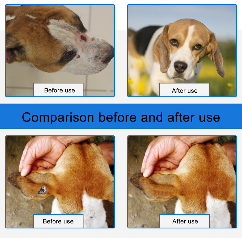 Spray naturel de la plaie pour les chats chiens soins de la peau coupes anti démangeaison allergies Inflammation Reli
