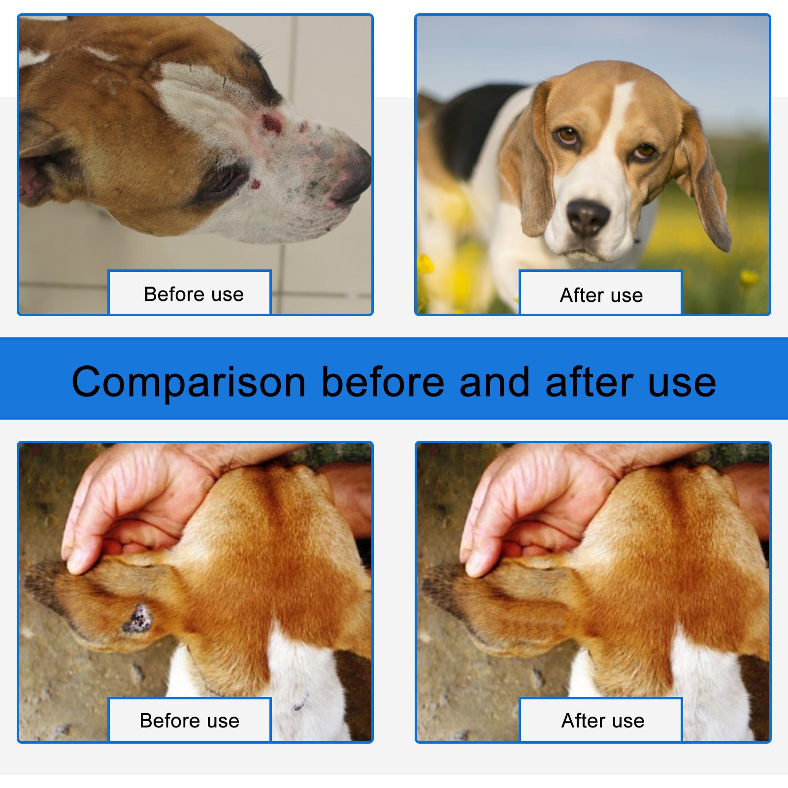 Spray naturel de la plaie pour les chats chiens soins de la peau coupes anti démangeaison allergies Inflammation Reli