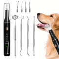 Détartreur dentaire pour chien et chat, appareil à ultrasons