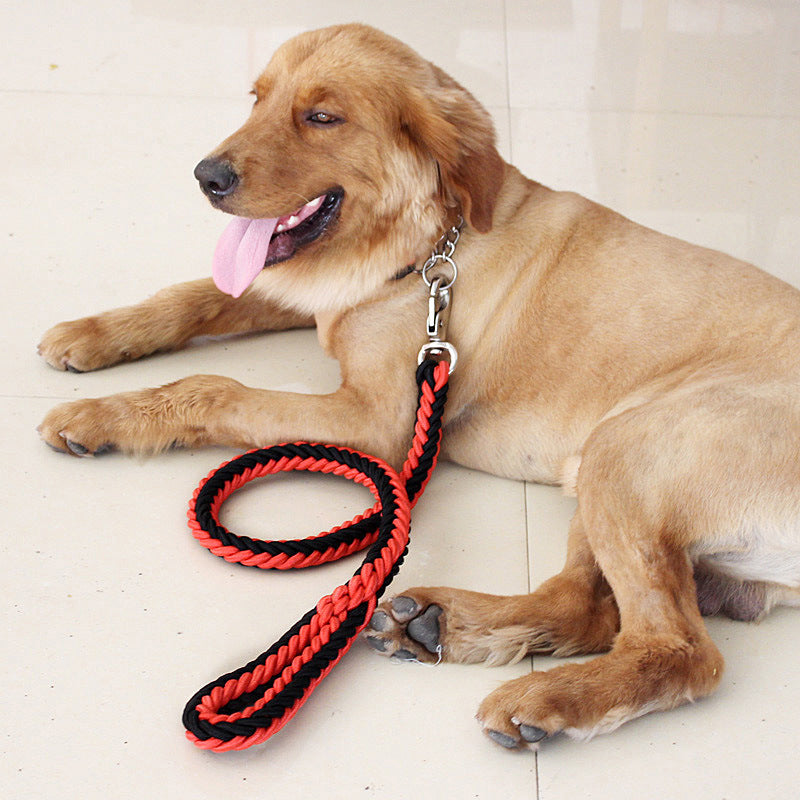 Feuillage en nylon à huit brins adapté aux chiens de taille moyenne à grande