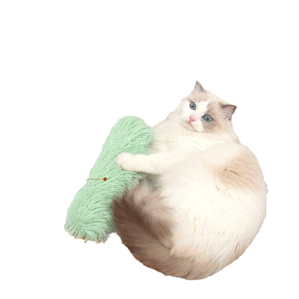 Chat en peluche auto-échauffant avec oreiller de sommeil Catnip et jouet interactif pour animaux de compagnie