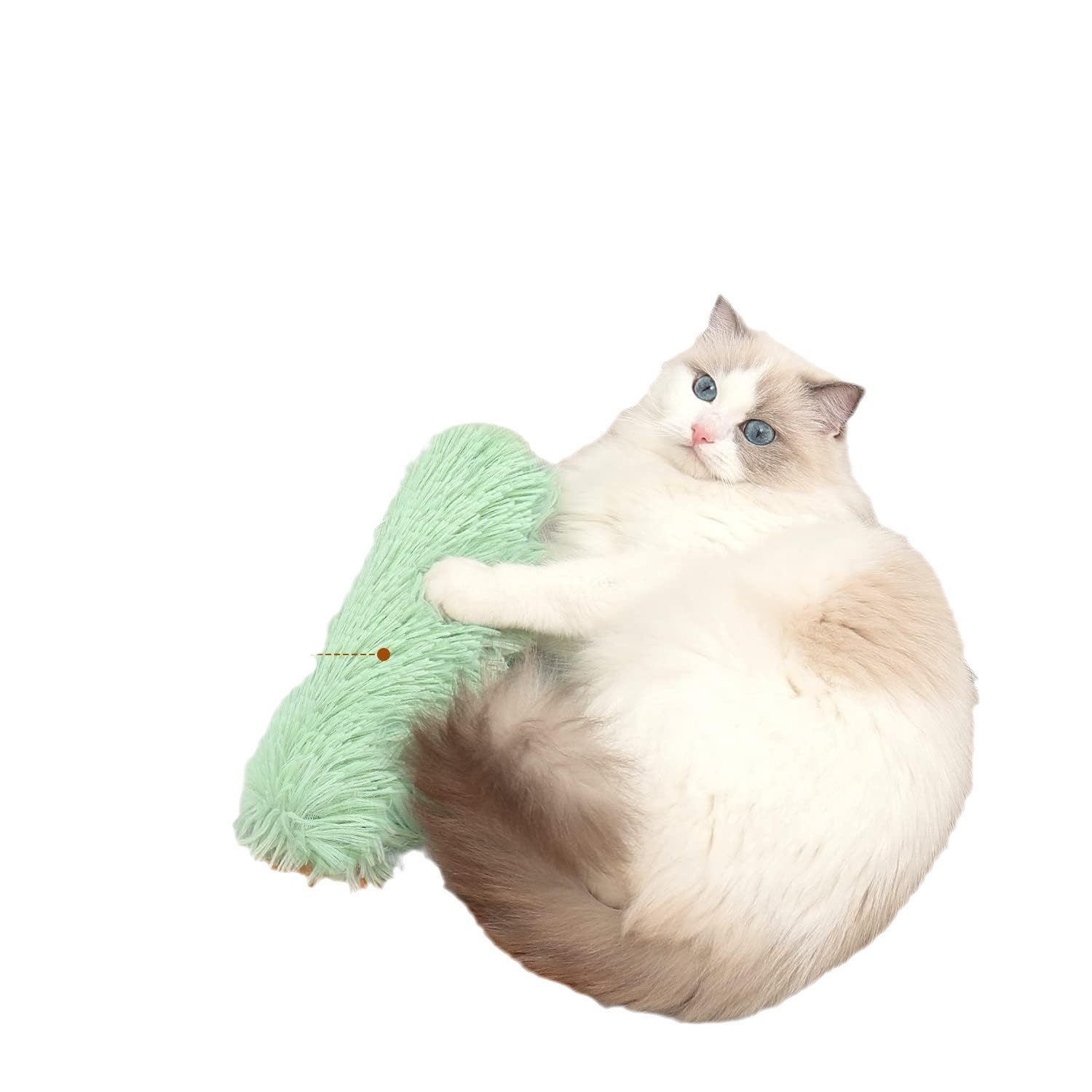 Chat en peluche auto-échauffant avec oreiller de sommeil Catnip et jouet interactif pour animaux de compagnie