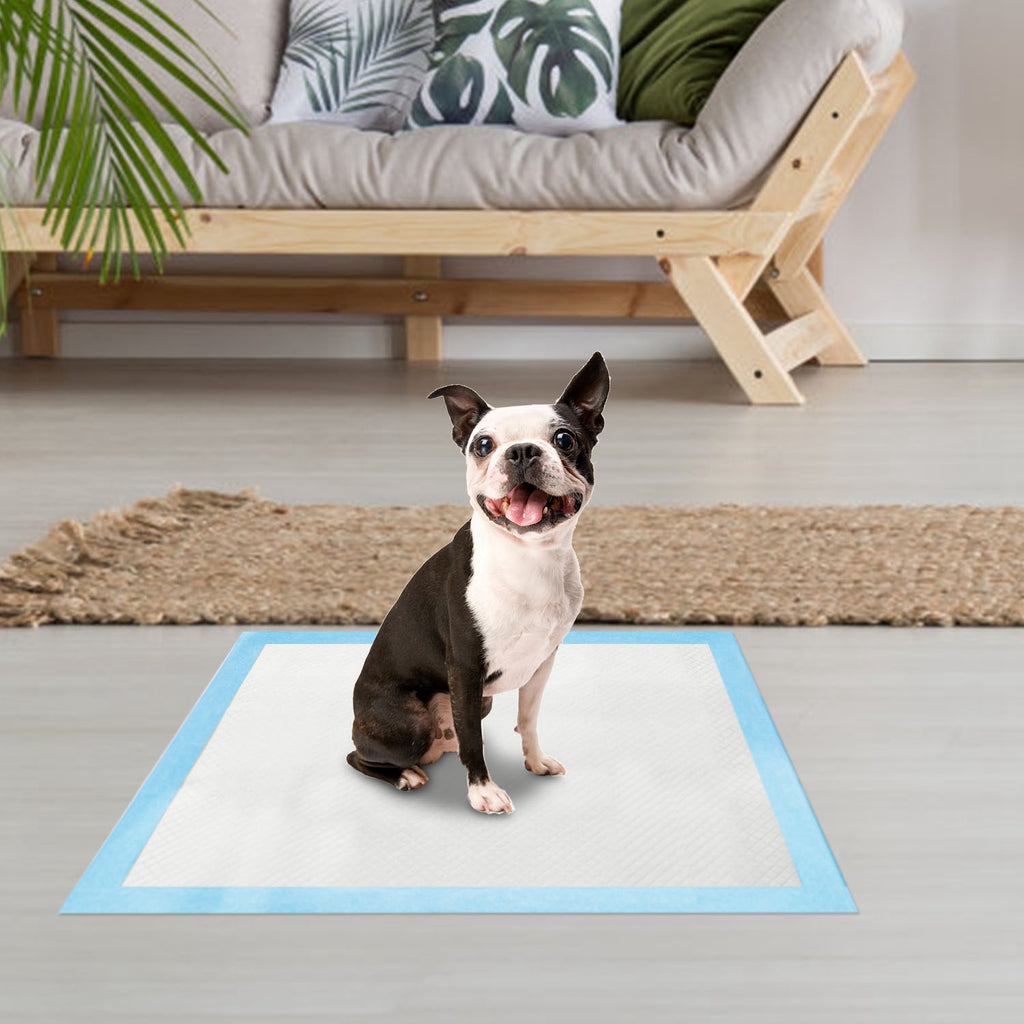 50Pcs par jeu de chiens d'entraînement Pads pour chiots Pads chat Wee Mats Potty-Train 24in X 18in M