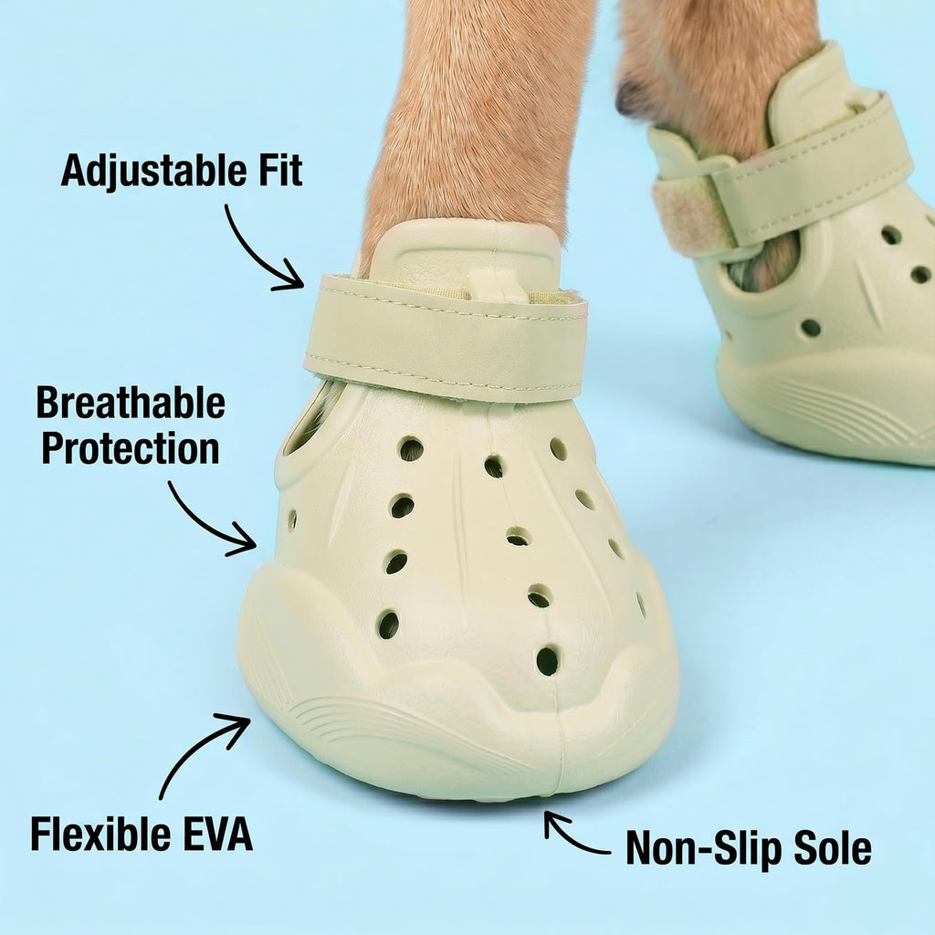 Chaussures pour chiens