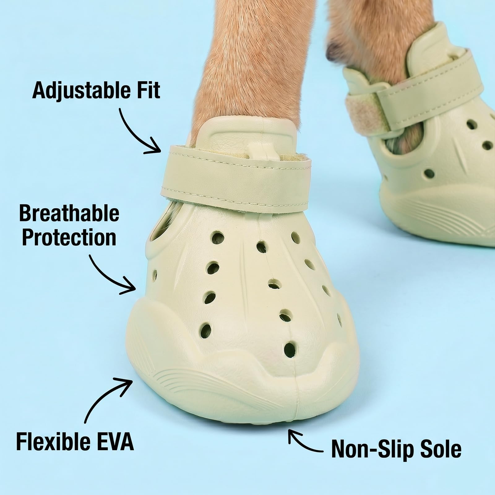 Chaussures pour chiens