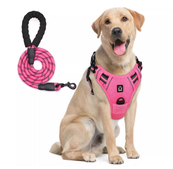 Harnais de chien et combo de laisse avec conception de preuve d'évasion