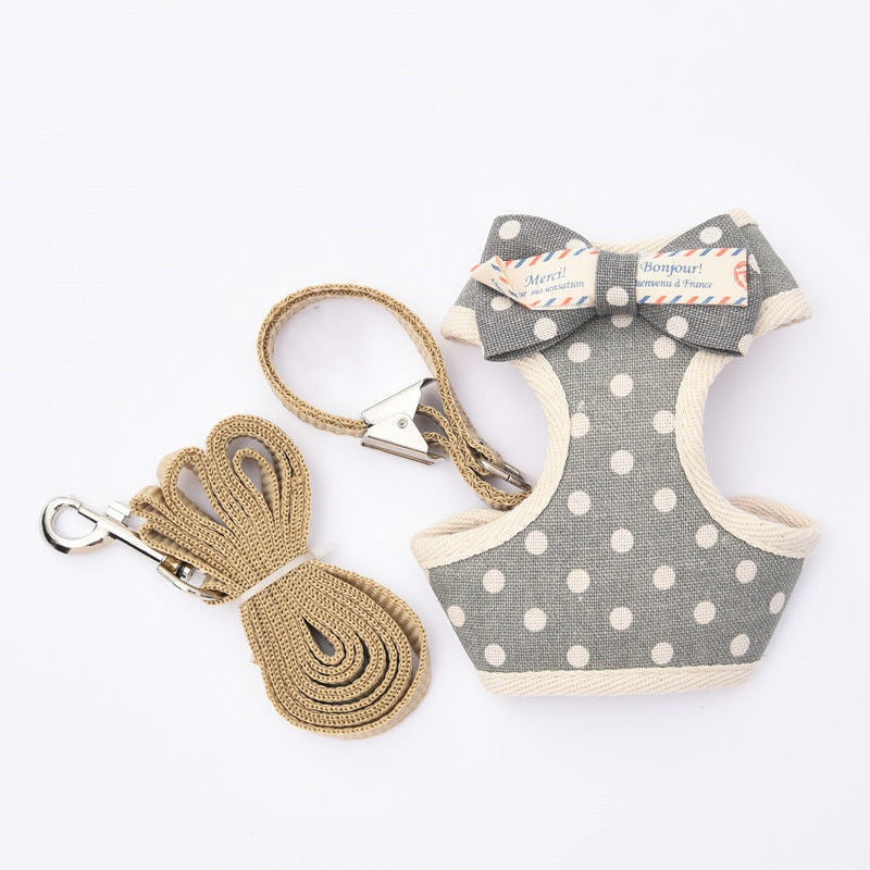 Leash de style vestois pour les chats et les chiens à pied