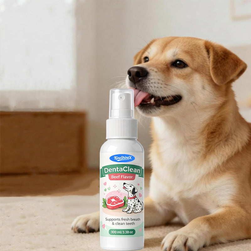 Spray dentaire Spray dentaire avancé pour soins buccodentaires