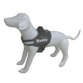 Harness Dog fournit des laisses et des paillettes