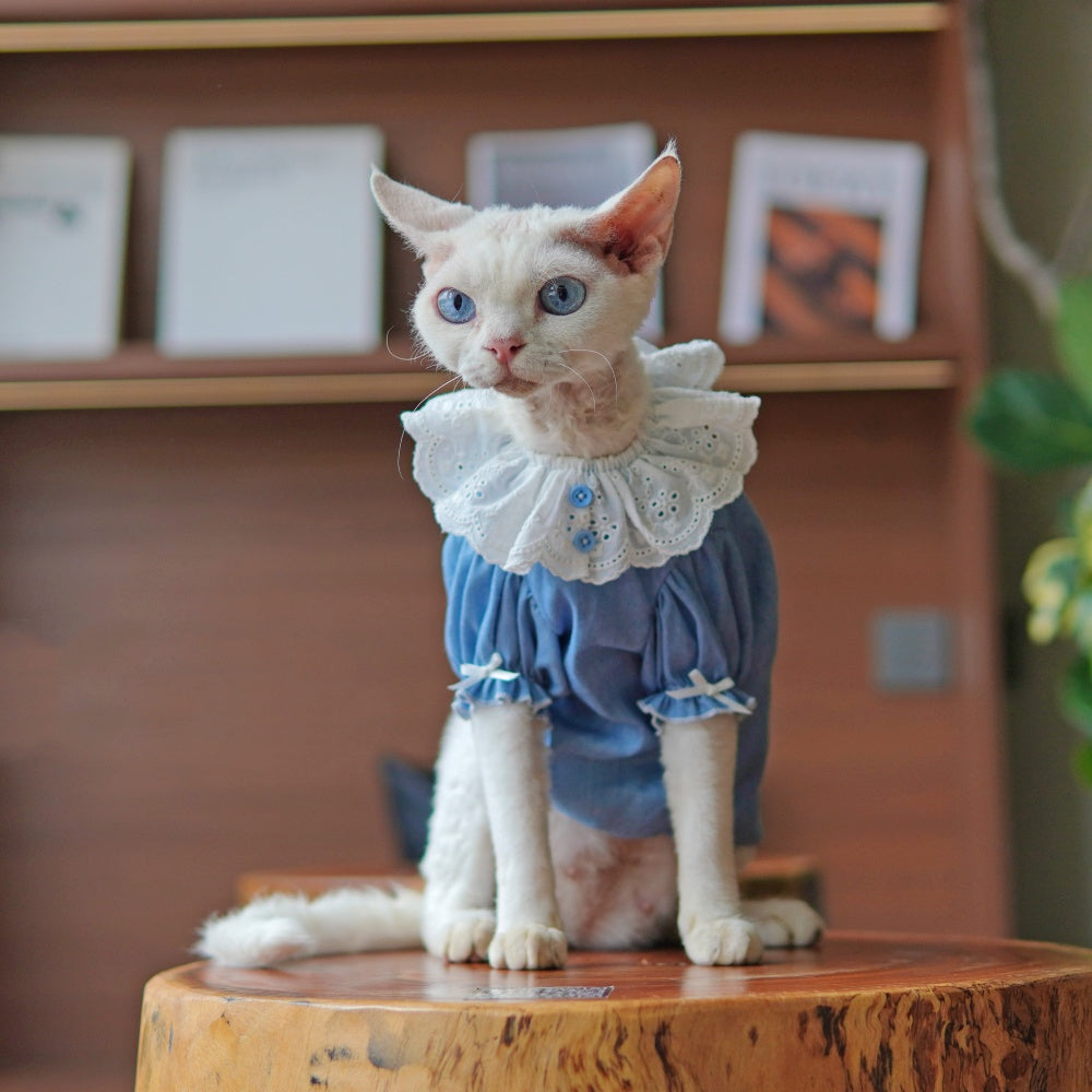 Sphynx Cat robe bleu d'été avec collier de dentelle légère peau-friendly Apparel pour cheveux