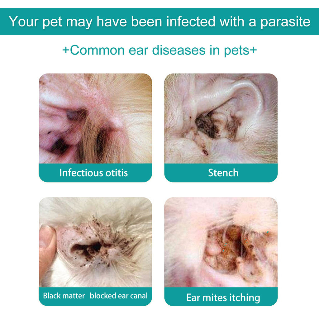 Solution de nettoyage de l'oreille des chats et des chiens