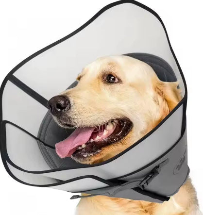 Anneau réglable du collier de stérilisation pour animaux de compagnie