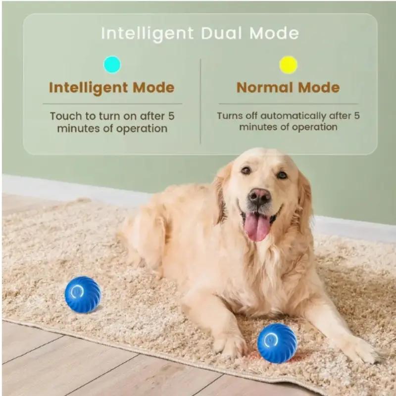 Blue and Orange Pet Buncing Ball Buncing Pet Ball pour chats et chiens