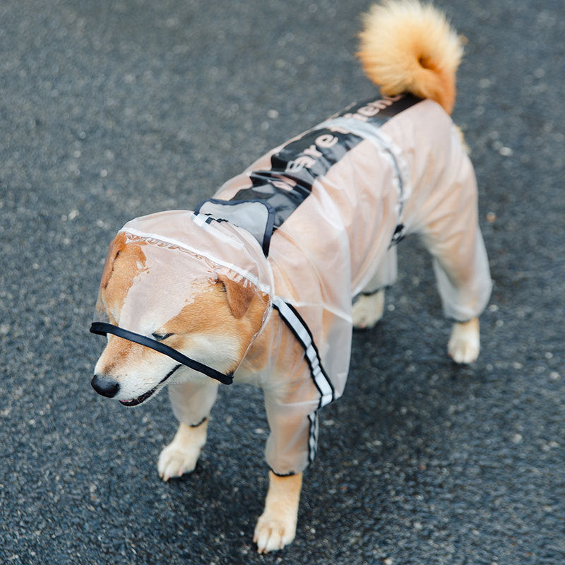 Imperméable à quatre pattes tout inclus