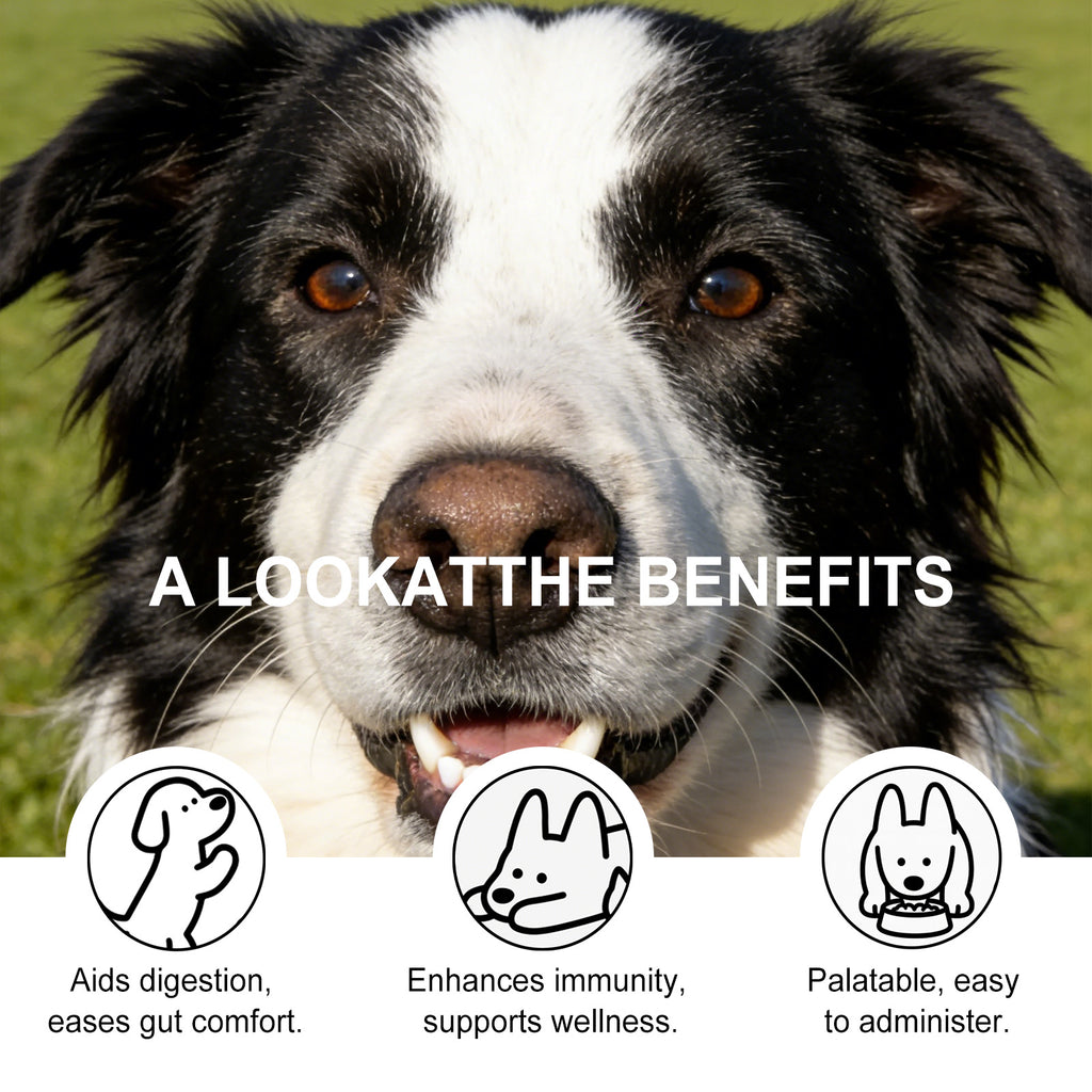 Poudre de dents pour chiens