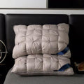 2Pcs Soutien de l'entreprise Oreiller matelassé extra rempli Hôtel Paire d'oreillers de qualité
