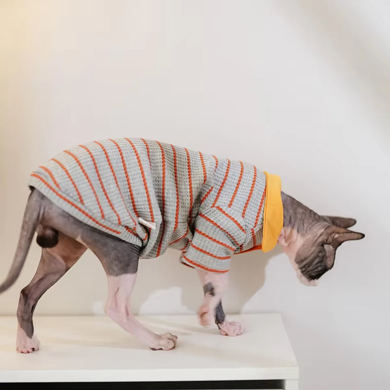 Vêtements de chat pour animaux de compagnie de style Polo rembourré avec un collier tournant et manches longues