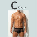 Boxer Slips Ultra-fin Sheer Silk glacé Low-rise Sexy