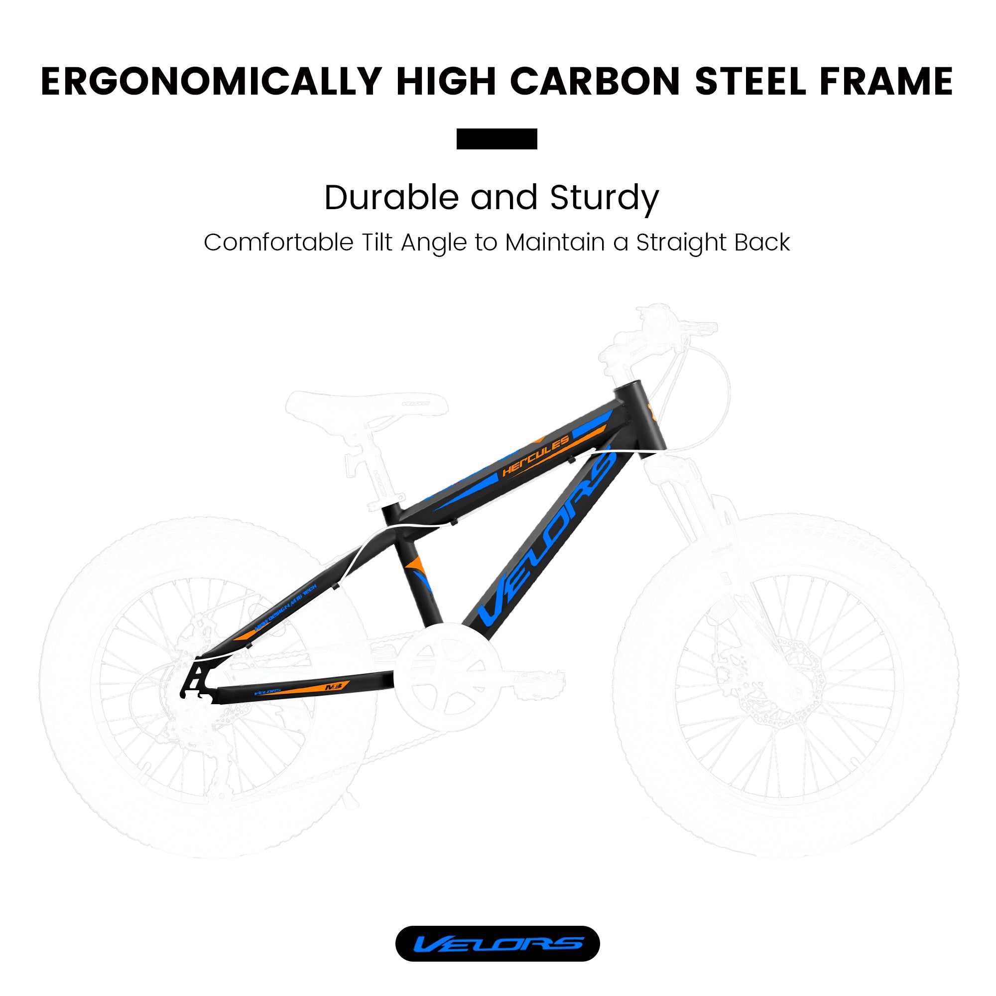 V202035 20 pouces Fat Tire Bike 7 Speed Mountain Bike