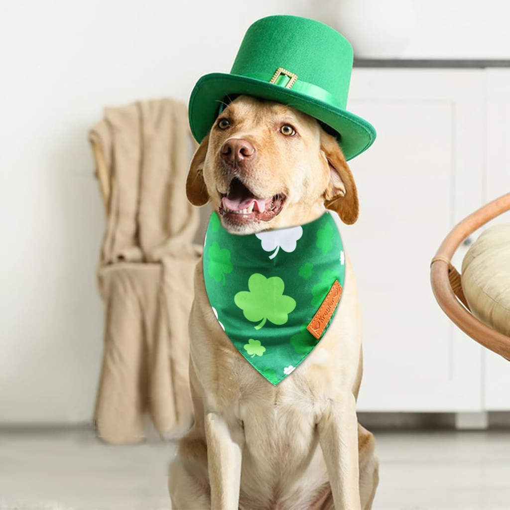 Bandanas de chien de St. Patrick