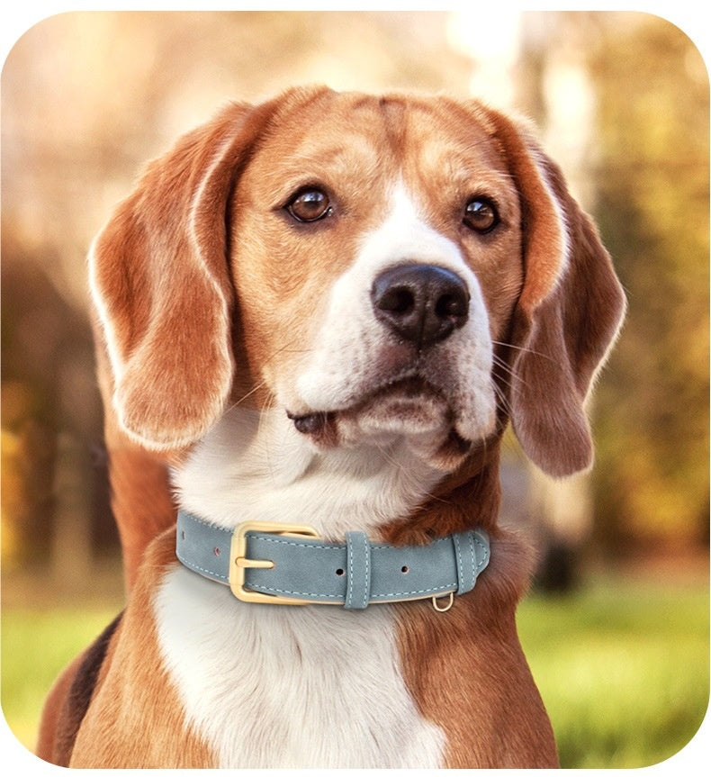 Collier de chien en cuir double couche créatif et polyvalent