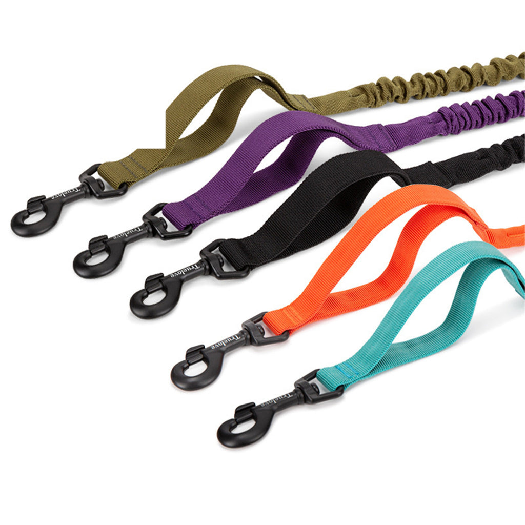 Pet Dog laisse avec élastique réglable