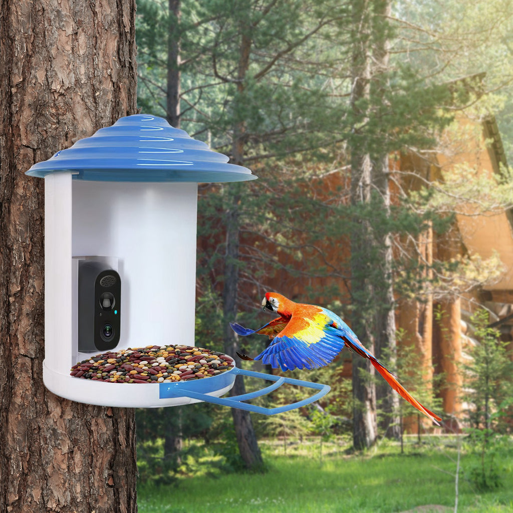 Smart Bird Feeder avec caméra solaire 1080P HD AI identifier PIR Motion Auto Capture V