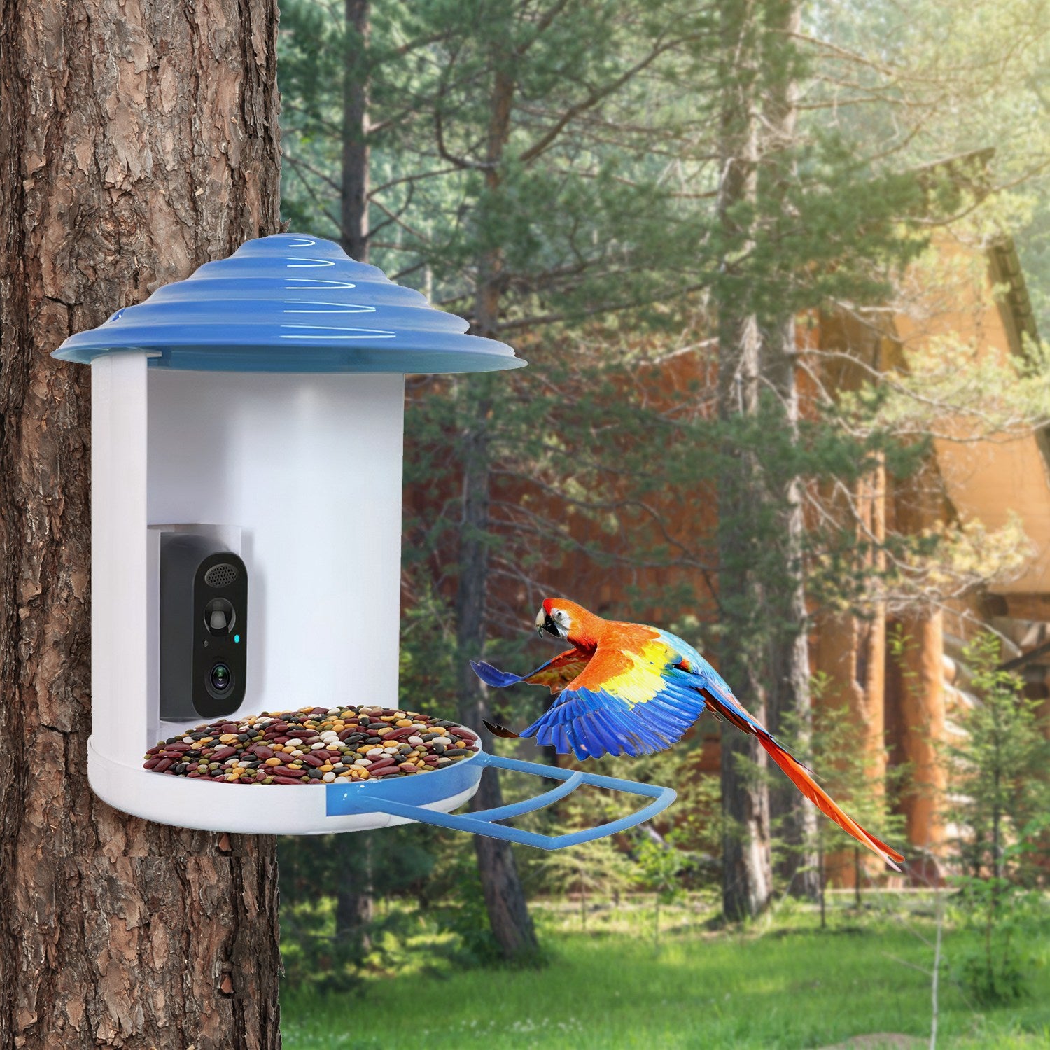 Smart Bird Feeder avec caméra solaire 1080P HD AI identifier PIR Motion Auto Capture V