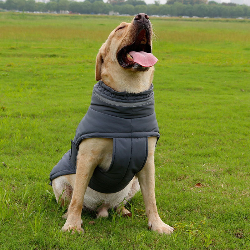 Manteau de chien Cold-Proof Warm Rain-Proof Vêtements de grand chien Corgi Vêtements Trench de chien