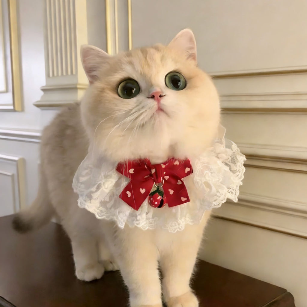 Mignon Bow-Knot Fairy Cat Drool Bib