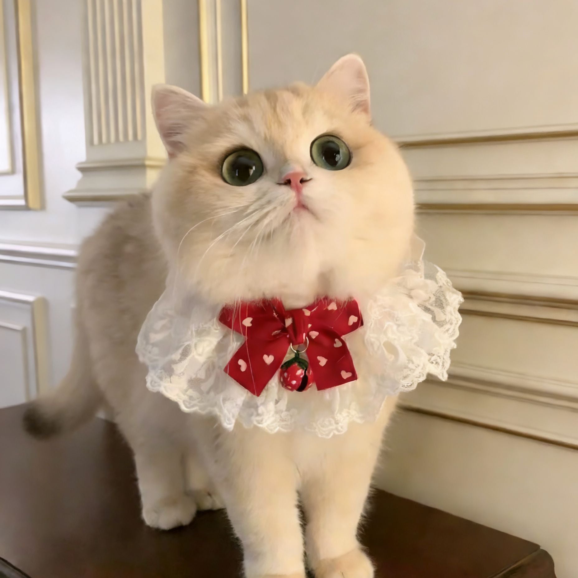 Mignon Bow-Knot Fairy Cat Drool Bib