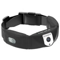 C10 Smart Pet Collar Monitoring Health Multifonctionnel