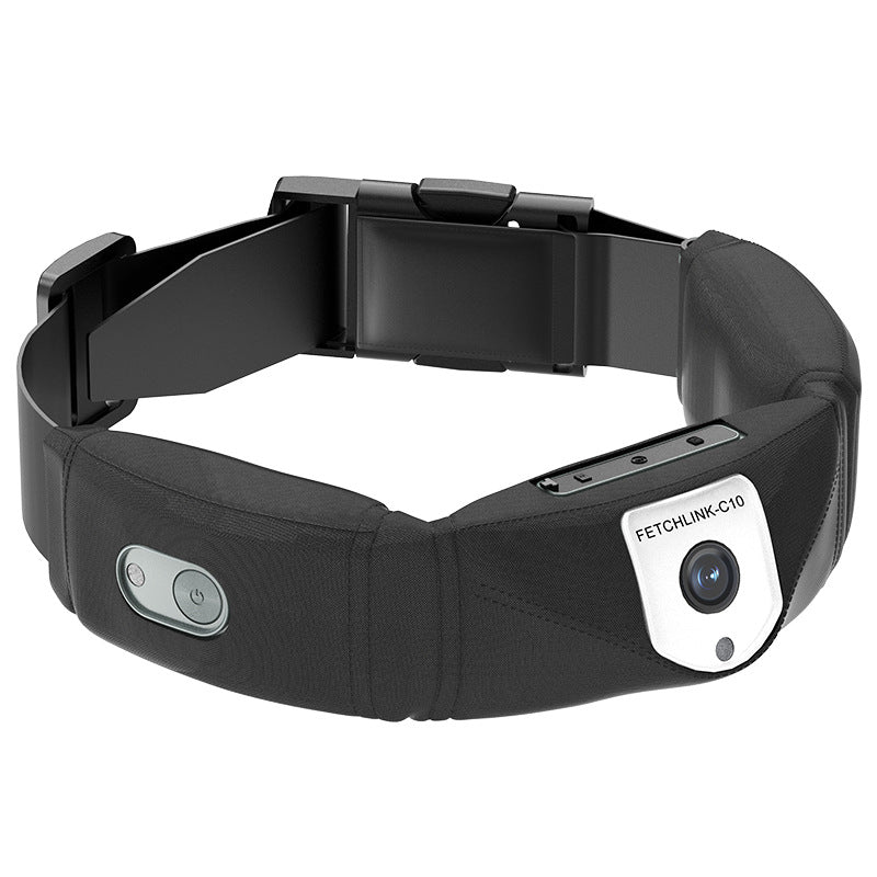 C10 Smart Pet Collar Monitoring Health Multifonctionnel