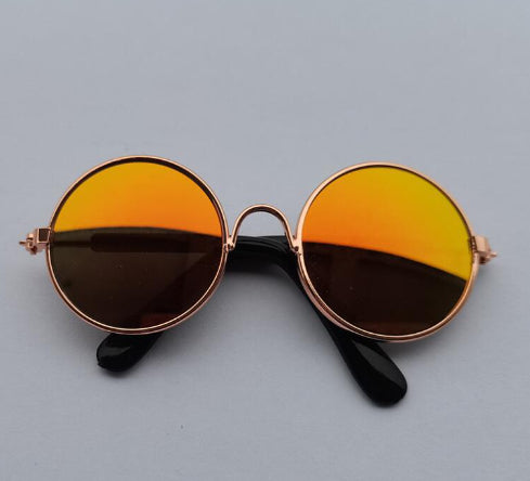Lunettes de soleil pour chats