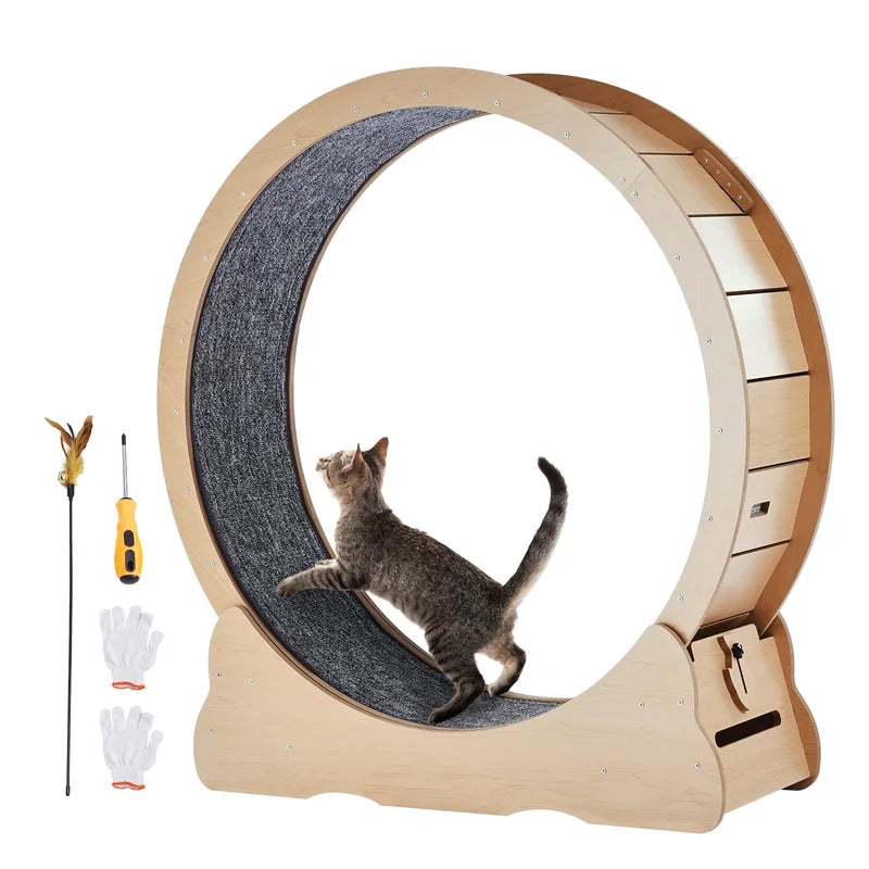 Roue d'exercice de chat en bois Grande roue tapis de chat pour roues de course de chat intérieur avec Deta
