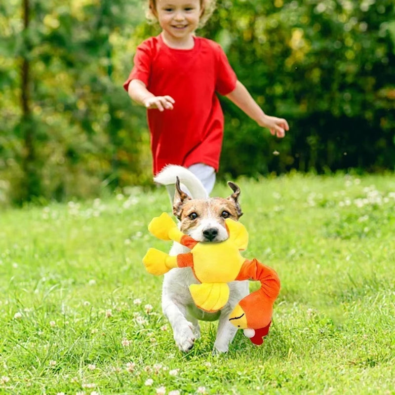 Animaux de compagnie Jouets de chien criant Poulet Jouet sonore Puppy Bite résistant Jouet de Chew Interactive Squeak