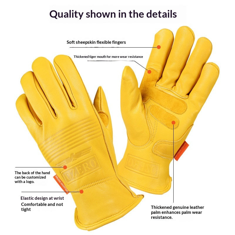 Gants d'équitation et de moto
