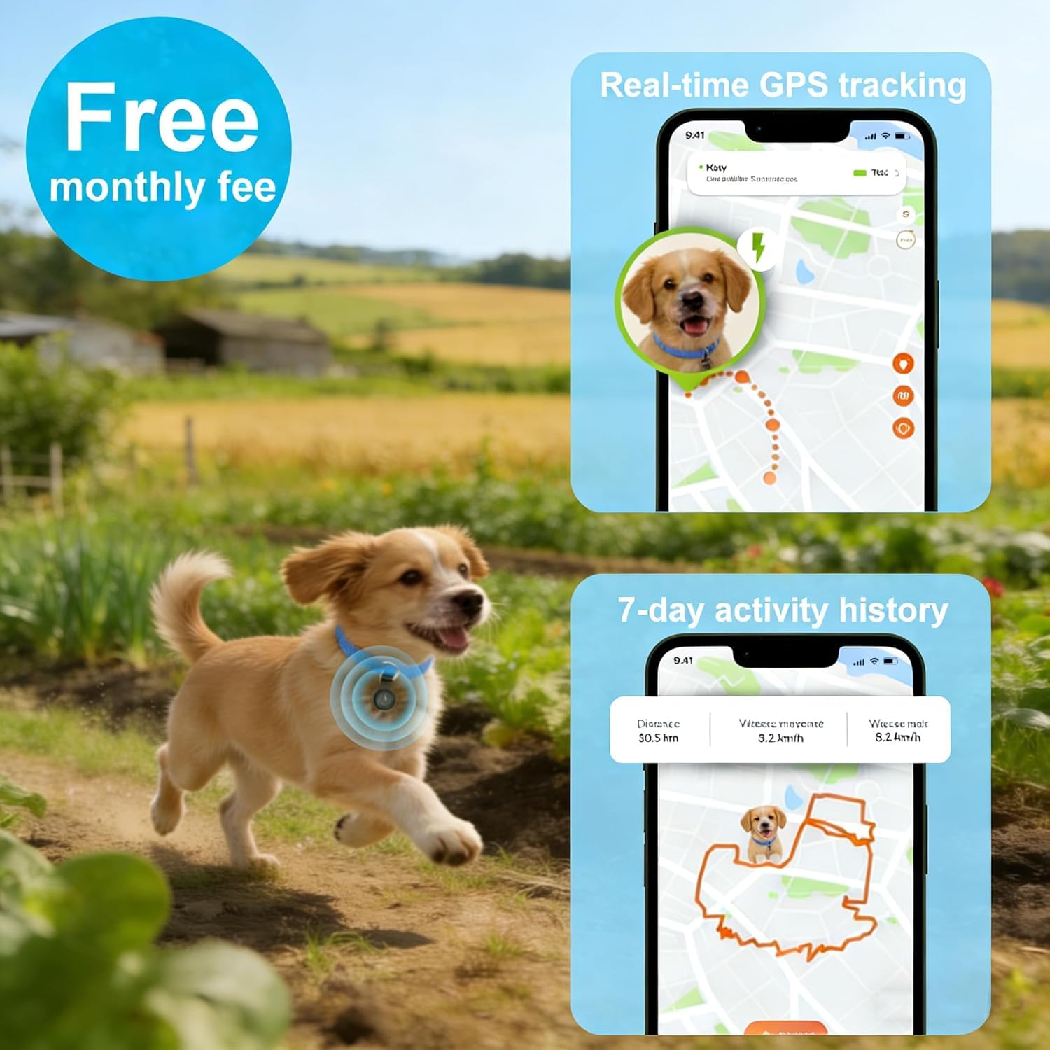 Tracker GPS pour chiens
