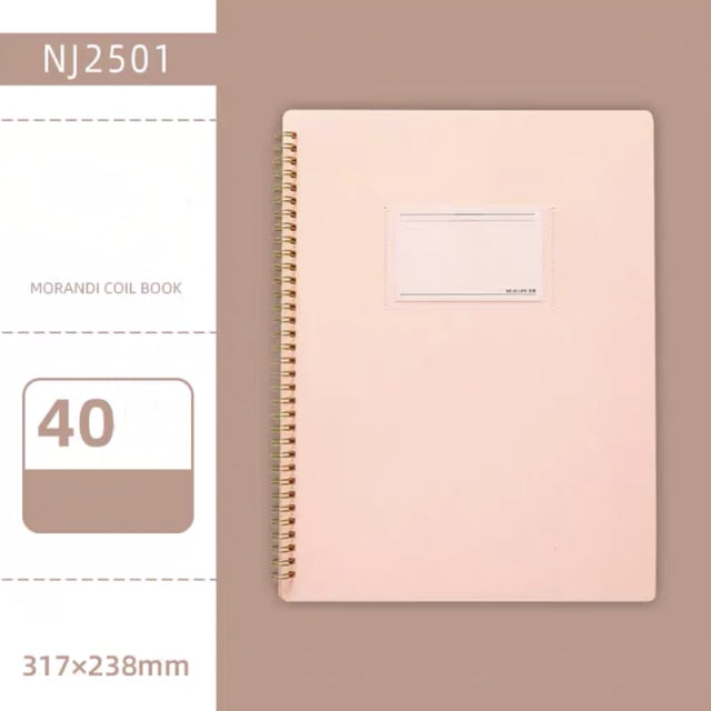 Morandi Couleur A4 Dossier d'information interstitielle Coil