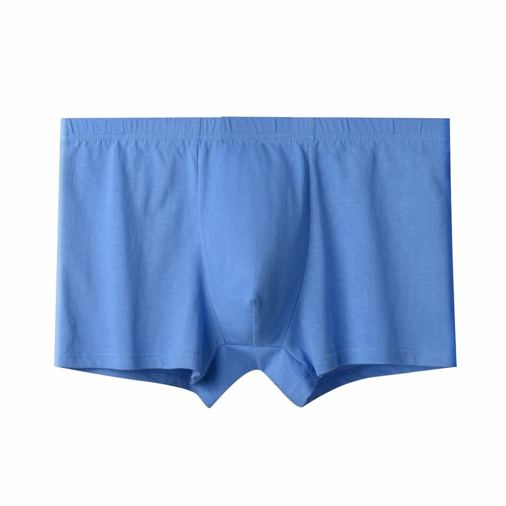 Briefs pour hommes pour hommes d'âge moyen et plus âgés