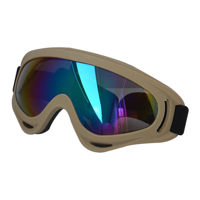 Lunettes de soleil extérieures pour chiens Décoration