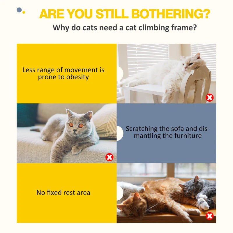 Tour de l'arbre à chat multi-Storey avec poste de raclage