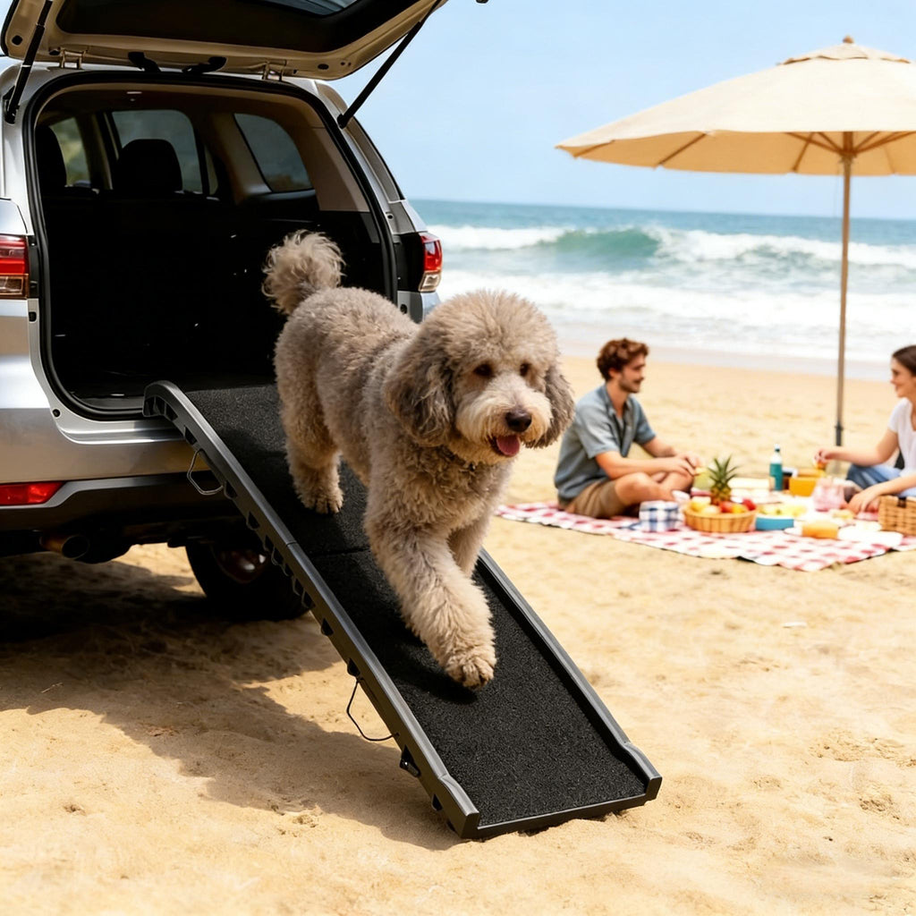 Ramp pour chien, Ramp pour chien, Ramp pour chien pliable