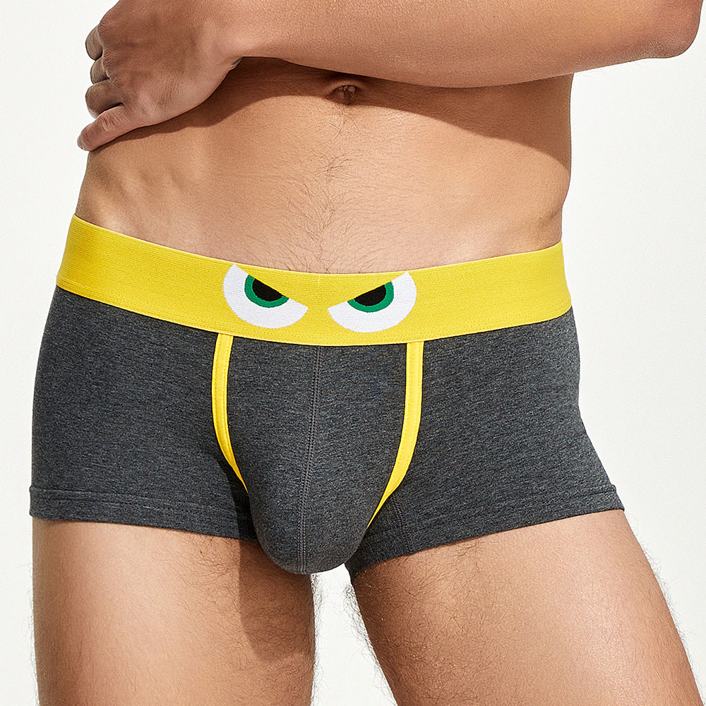 Sous-vêtements pour hommes en coton