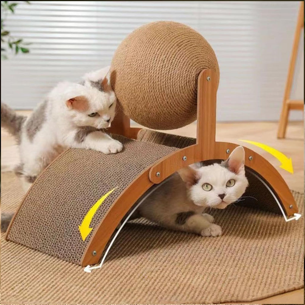 Éclat de chat à boules