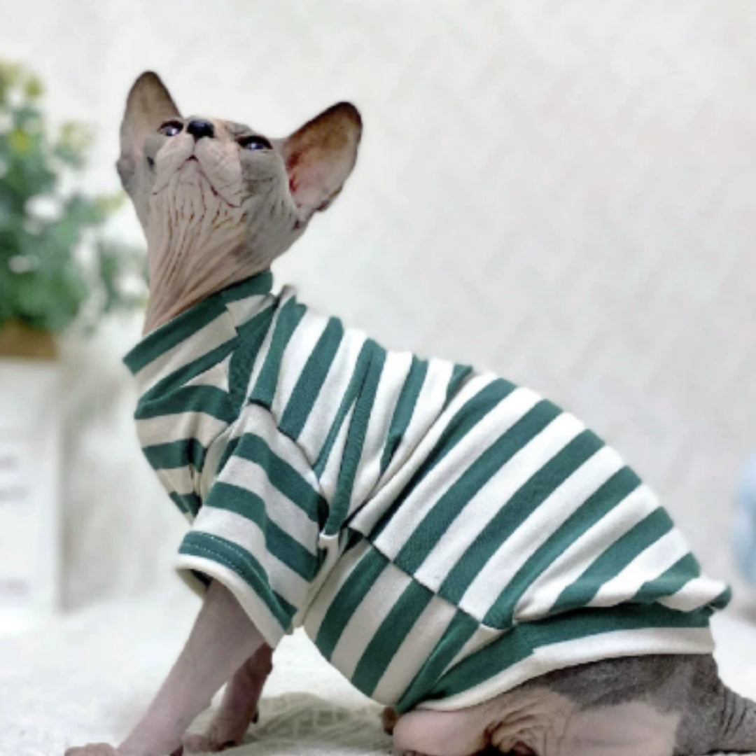 Sphinx de chat sans cheveux Vêtements Allemand bandes de chat