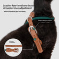 Ensemble d'harnais de chat et d'écume