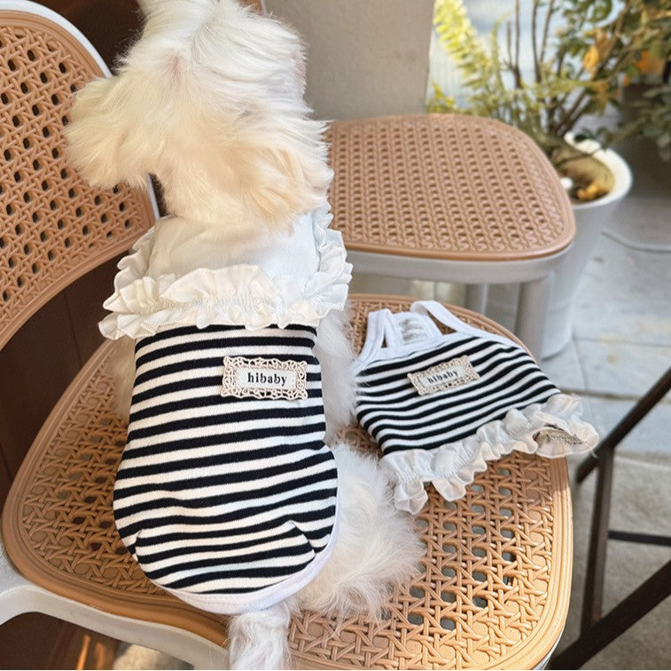 Vêtements pour animaux de compagnie Style universel pour chiens et chats